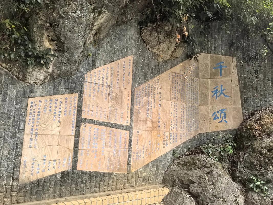 重返校园 再见广西科技大学，再见青春