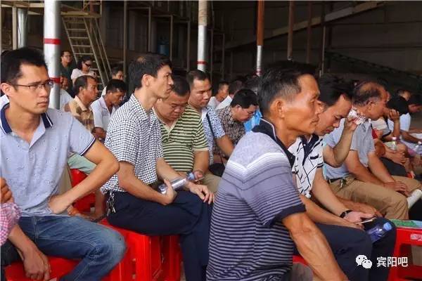 广西九龙腾农业科技召开水稻新技术应用及工厂化育秧现场会