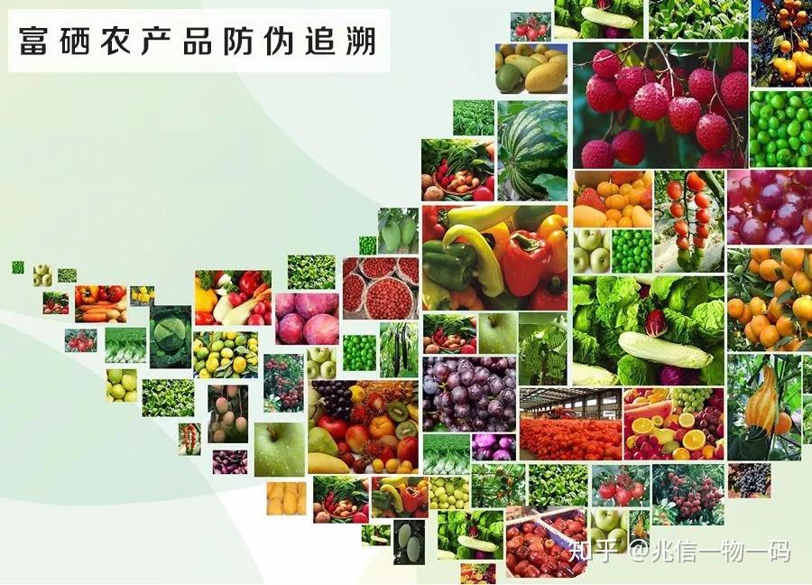 兆信股份 | 广西富硒农产品协会 以科技赋能富硒农产品品
